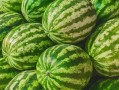 今日吃瓜事件 吃瓜每日大赛,今日热点事件深度解析
